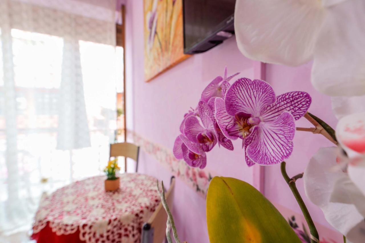Bed And Breakfast Dolce Vita بولونيا المظهر الخارجي الصورة